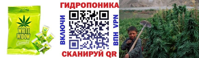 Купить  Клин  Еда ТГК марихуана 