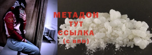сатива Новокубанск