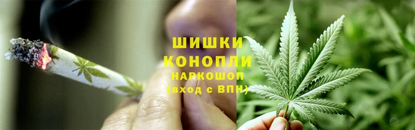 ГАЛЛЮЦИНОГЕННЫЕ ГРИБЫ Нефтекумск