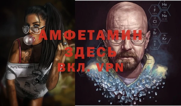 сатива Новокубанск