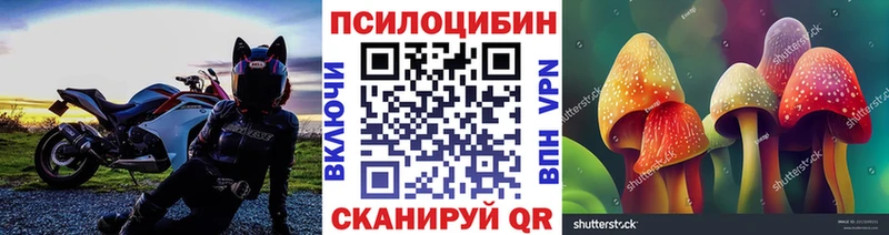 Псилоцибиновые грибы MAGIC MUSHROOMS  Купить закладки  Клин 